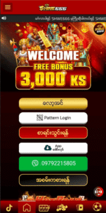 shwe666 register