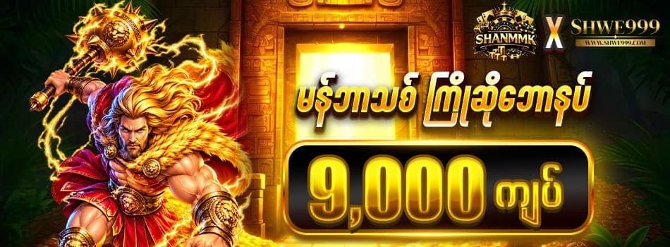 shwe999